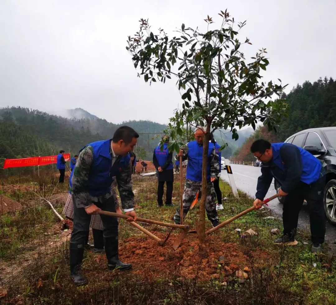 湘桂边界一家亲 同心共植一片林——新宁•资源携手开展共建“民族团结林”活动.jpg