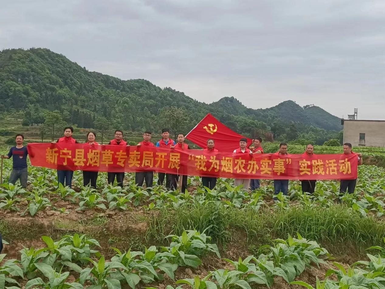 图片1.png
